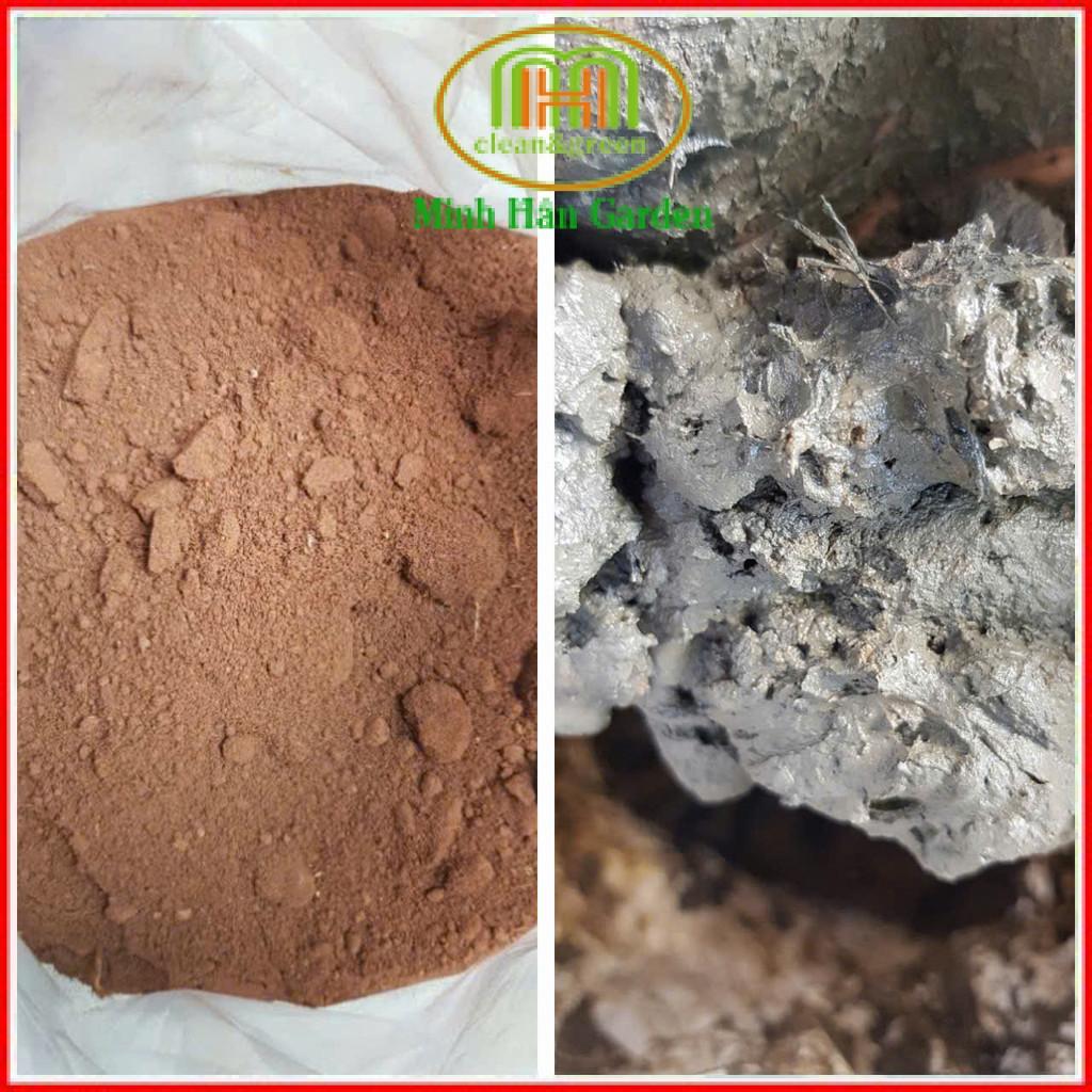 Bùn Sông Trồng Sen/Súng 5KG – Giàu Phù Sa, Sạch, Giữ Phân Tốt – Trồng Là Lên, Hoa Nở Nhanh