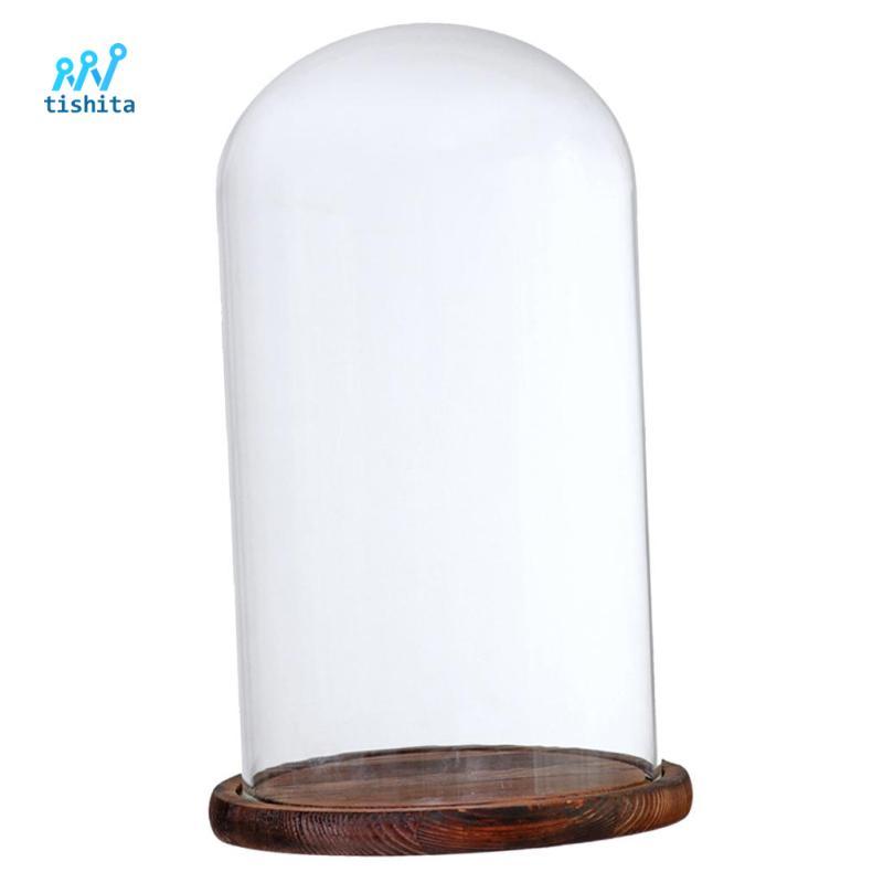 Cloche Dome Đồ chơi Jar Terrarium f / Store Vườn thu nhỏ Cảnh quan Trang trí