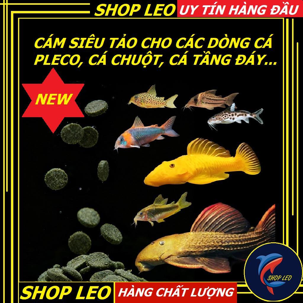 THỨC ĂN CHO PLECO, Cá Chuột, Cám Pleco siêu tảo, cám cho cá tầng đáy, cám cá chuột-Thức ăn cá tầng đ