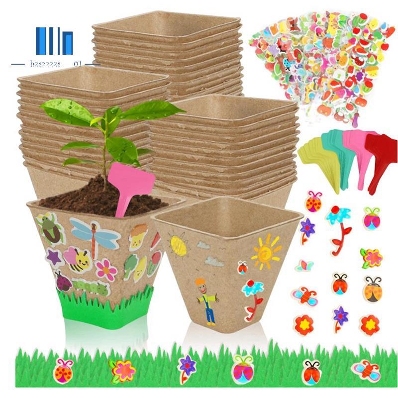 Bộ 50 Bộ Dụng Cụ Thủ Công Nồi Giấy, Đồ Dùng Thủ Công Bằng Nhựa 50 Chiếc Giấy Mache Nồi Cây Đậu Hà La