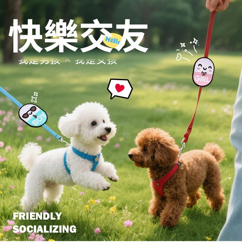 [Nhãn dán biển hiệu xã hội cho thú cưng] Nhãn dán cảnh báo dây đi bộ cho chó Velcro Felt Cat Nhãn dá