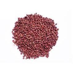 [PHƯỚC LONG] 500GRM Hạt Đậu Đỏ Nhỏ Thuần Chủng Thu Hoạch Trực TiếP - Sạch, Béo Bở