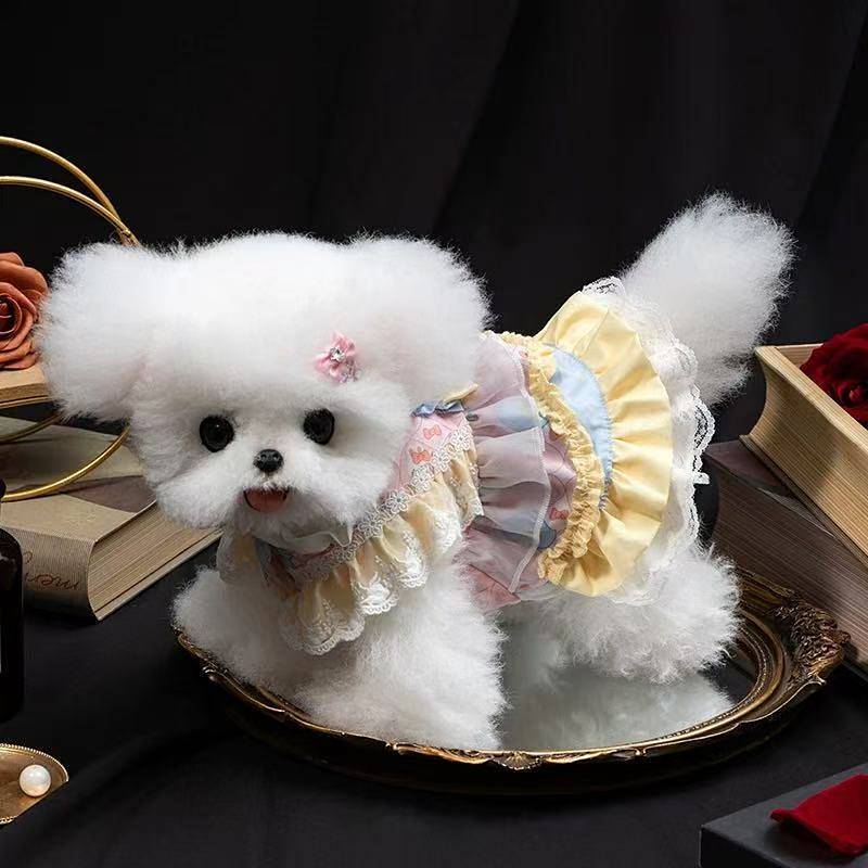 Pet Clothes Autumn Dog Lolita Skirt Puppy Small Dog Schnauzer Pet One-Piece Princess Dress jlYg