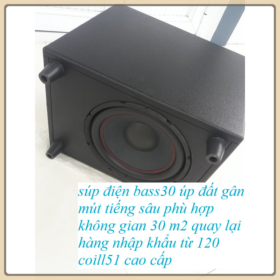Loa Siêu Trầm Điện Bass 30 - Giá 1 Cái - Loa Sub Điện Bass 30