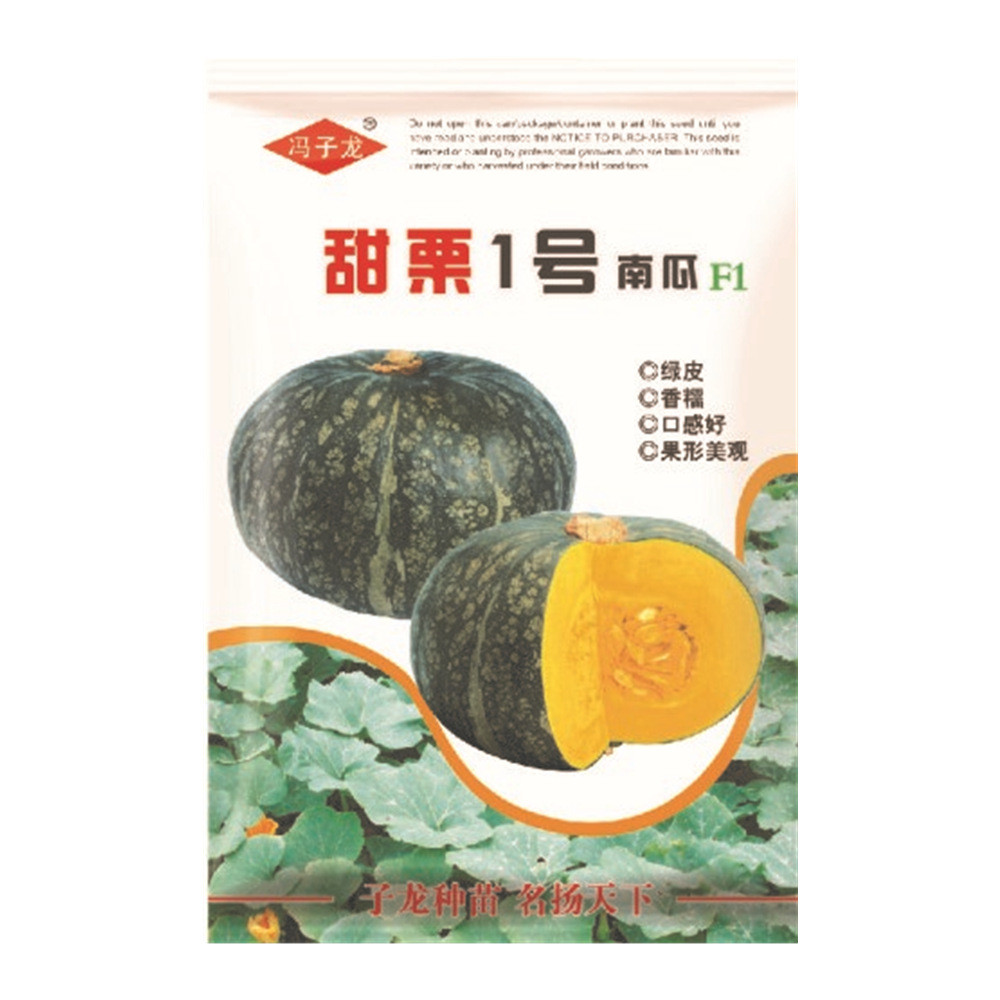 Feng Zilong - Hạt Giống Bí Ngô Ngọt từ Zero Daejeon