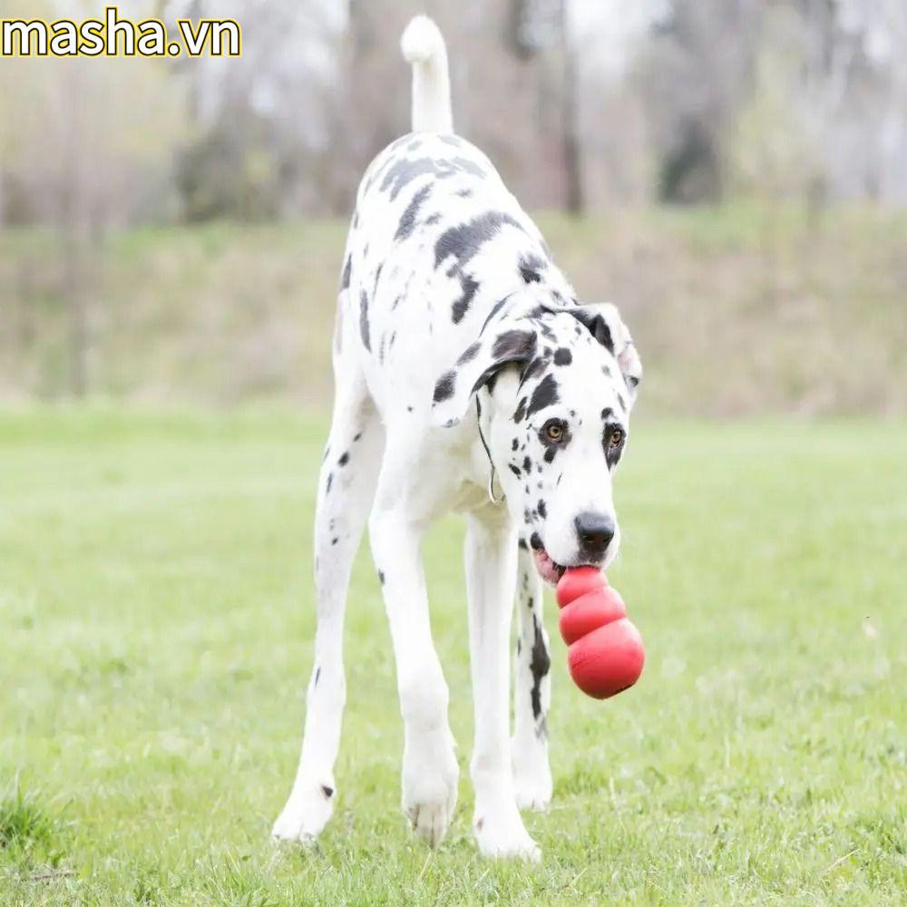 Đồ chơi cho chó Kong, Đồ chơi chó con nhồi bông Erratic Bounce Kong, 2024 Nhiều kích cỡ Đồ chơi nhai