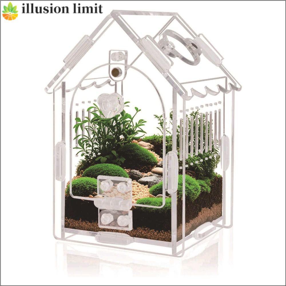 ILLUSION LIMIT Bug Habitat Acrylic Ốc được lắp sẵn