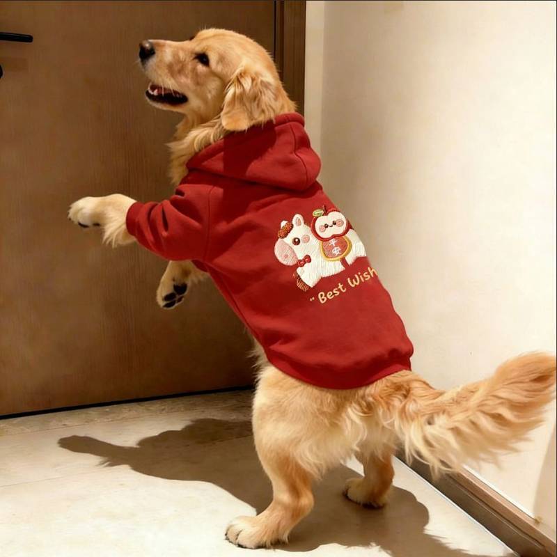 【Ready Stock】 Golden Retriever Labrador Border Collie Large Dog Warm Thickened Dog New Red Hooded Pr