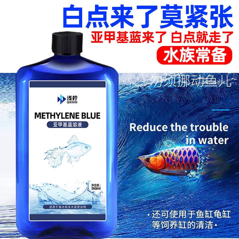[Sẵn sàng] Methylene Blue Cá trang trí Bệnh đốm trắng Khuôn nước Ký sinh trùng Bể cá Koi Chuẩn bị bể