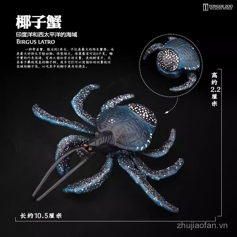 T Tongde Cua Dừa Mô Phỏng Động Vật Mô Hình Sinh Vật Biển Cua Gossip Cua Nhựa Chắc Chắn Đồ Trang Trí 