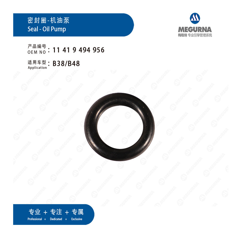 11419494956Thích hợp cho máy bơm vòng kín BMW B38 / B48