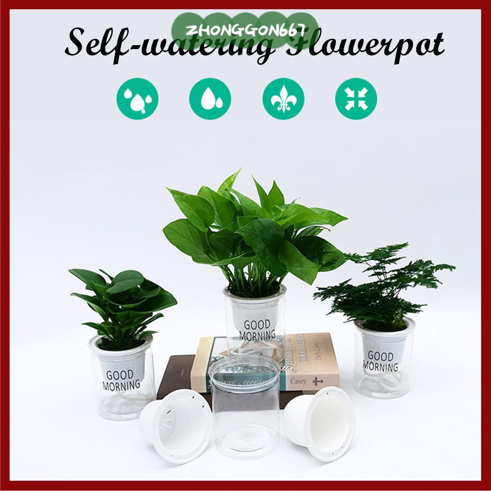 ZHONGGON67 Chậu hoa Trang trí văn phòng nóng Thủy canh bằng nhựa cầm tay chất lượng cao