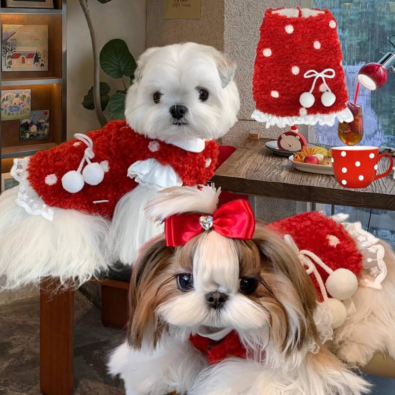 New Year Clothes Dog Pet Bichon Teddy Puppy New Year Dress up Festive Vest Autumn Winter Berber Flee