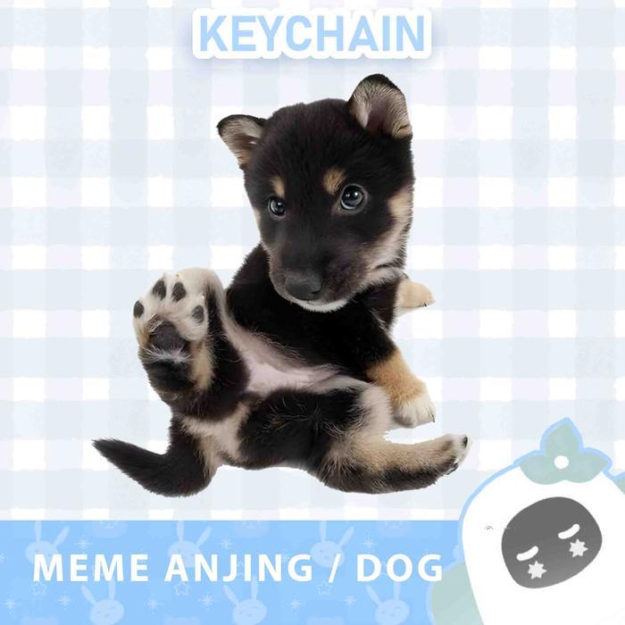 Ganci / Gantungan Kunci Akrilik MEME ANJING / DOG (50 VARIASI) - 1
