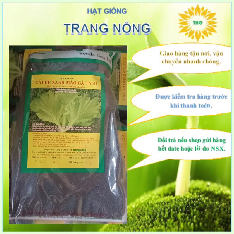 1kg Hạt giống cải bẹ xanh mào gà Trang Nông