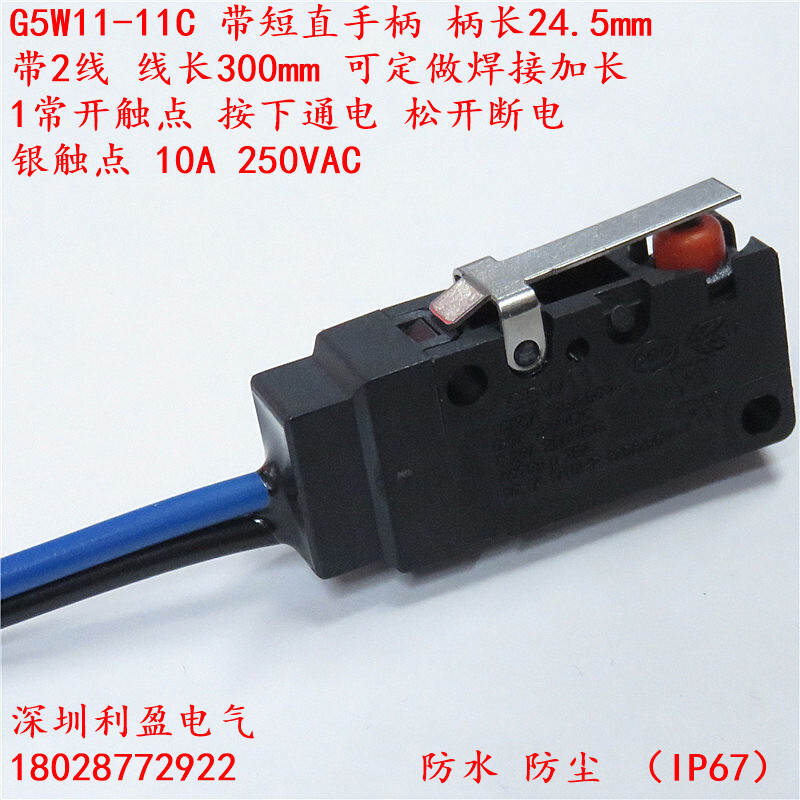 Thông thường mở 2 dòng chống nước G5W11-11C Thiết bị cơ khí Giới hạn đột quỵ Công tắc vi mô có tay c