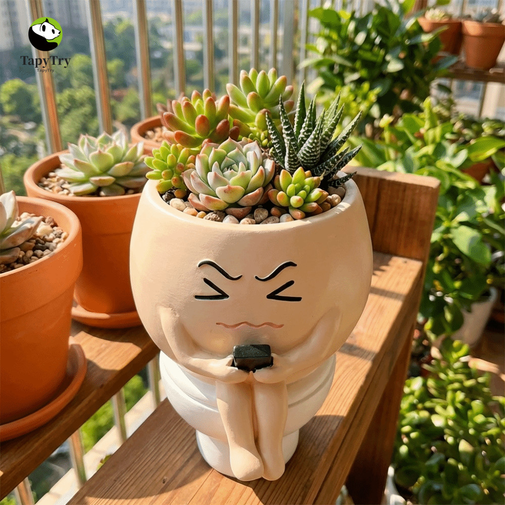Chậu trồng hoa ALISON, Bình hoa mọng nước hoạt hình ngộ nghĩnh, Bình trồng cây bằng nhựa thủ công sá