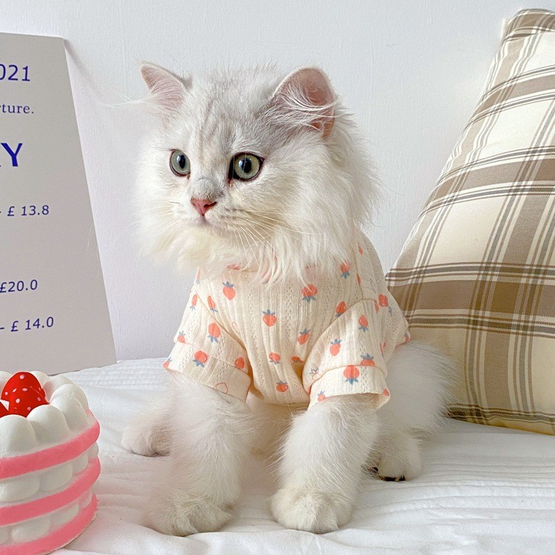 Áo thun điều hòa mèo mùa hè mỏng nhẹ - Chống rụng lông dành cho Mèo Ragdoll British Shorthair Russia