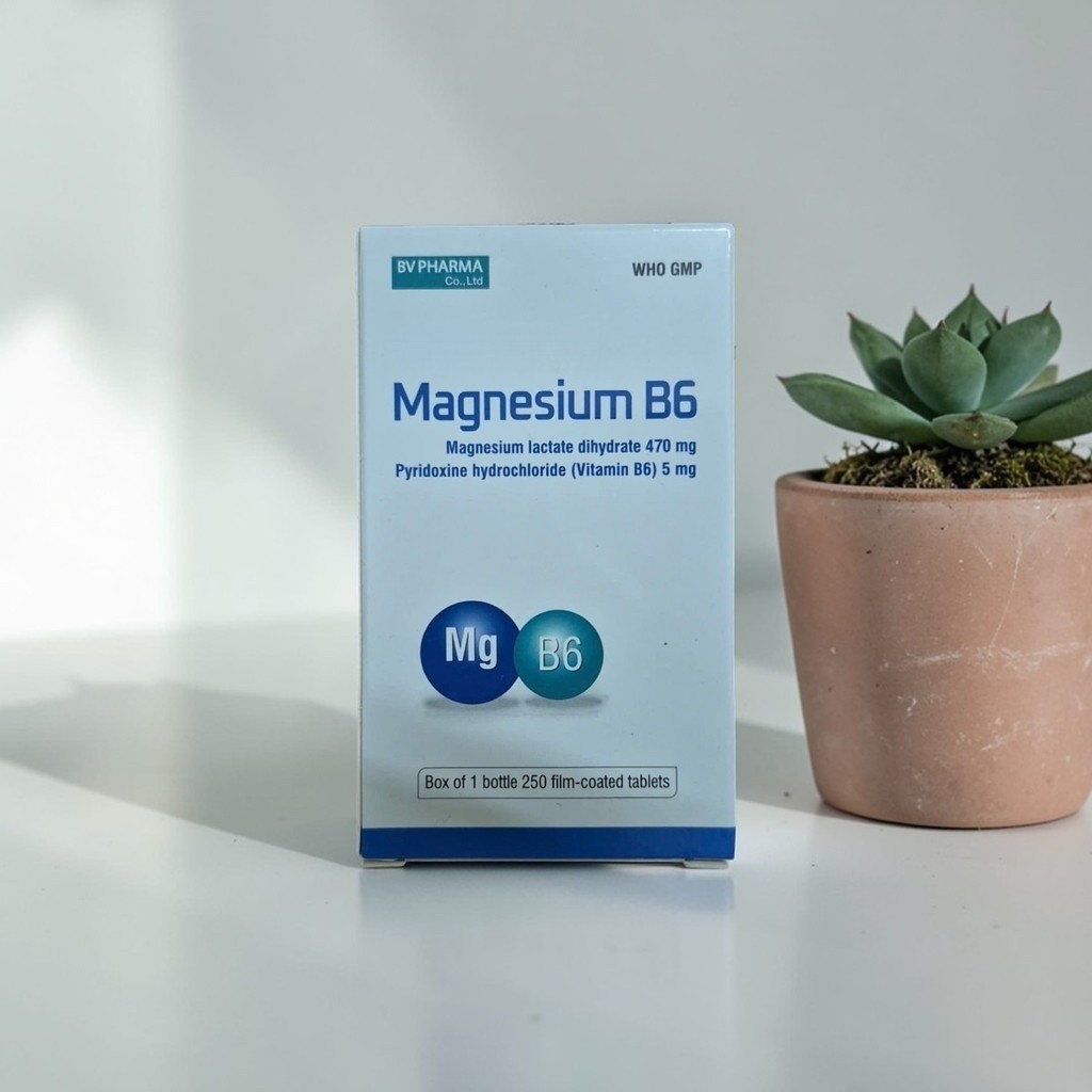 Lọ 250 viên Magnesium B6 cung cấp magie b6