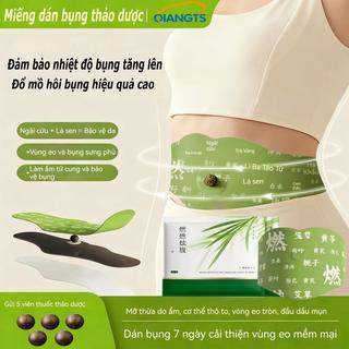 Miếng Dán Thoải Mái Bụng Nâng Cấp 5 Miếng Dán Mỗi Gói Tương Đương Với 3 Miếng Dán