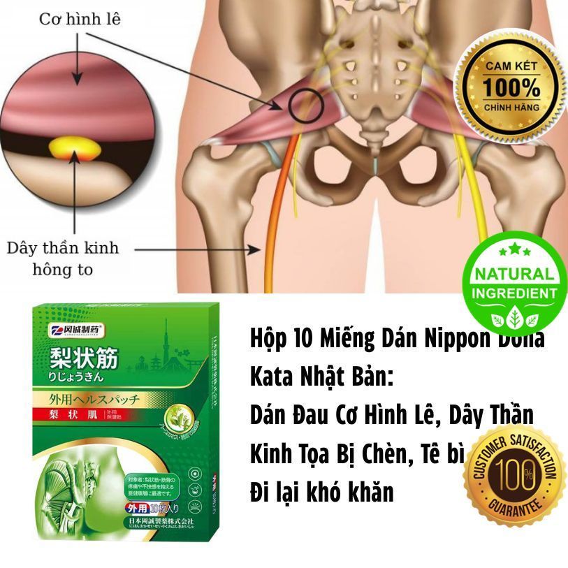 10 Miếng Dán Nippon Doha Kata Nhật Bản – DÁN Đau Mông & ĐAU Cơ Hình Lê, 100% HERBAL-GIÁ SOCK LẮM  |0
