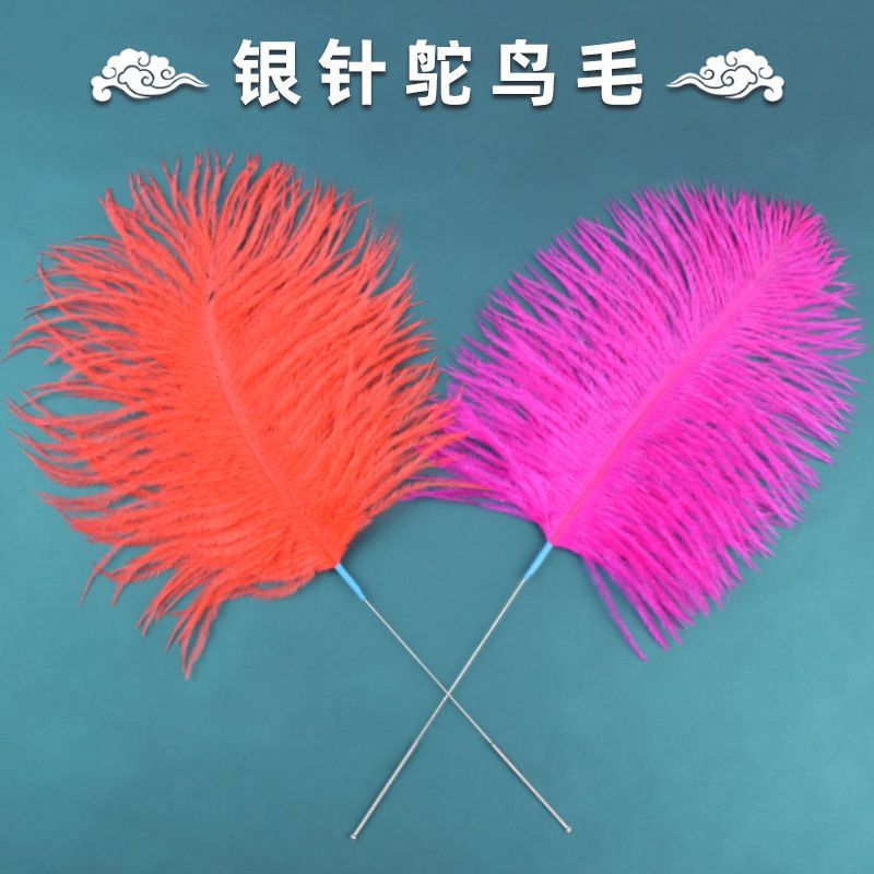 A New Silver Needle Ostrich Feather Ear Cleaning Tool Large Peacock Feather Sound Needle Ear Cleanin