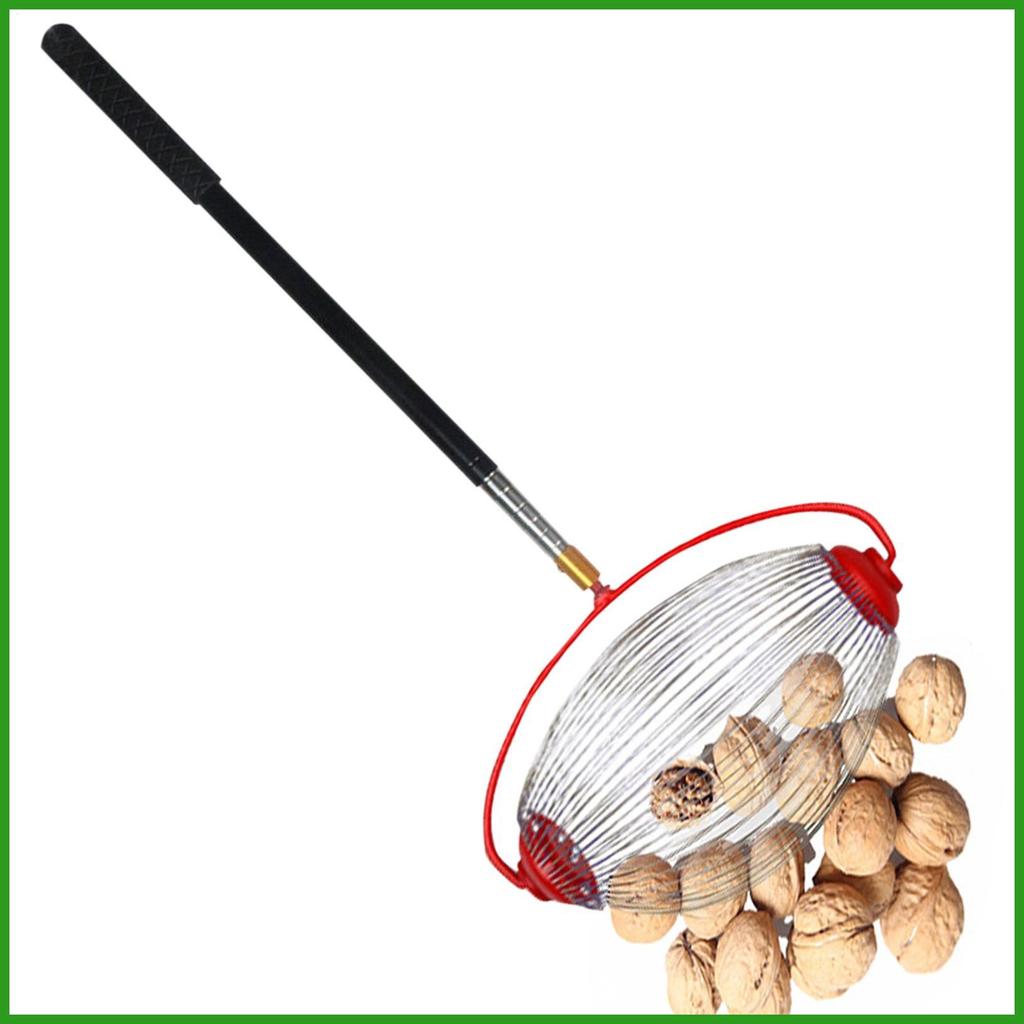 Nut Collector Picker Nut Gatherer Con lăn hạt dẻ có thanh kính thiên văn Đa chức năng Acorn Picker L