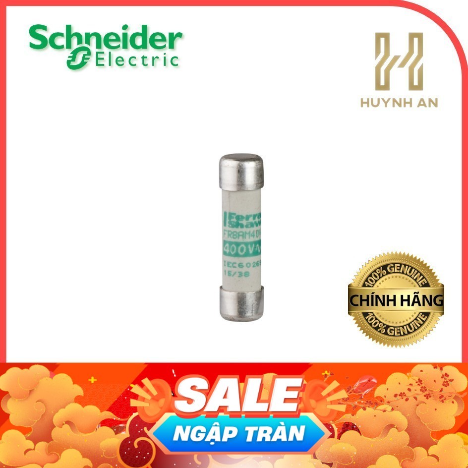Cầu chì ống NFC DF2CA02 Schneider TeSys GS hình trụ 10mm x 38mm, loại cầu chì aM, 500VAC, 2A