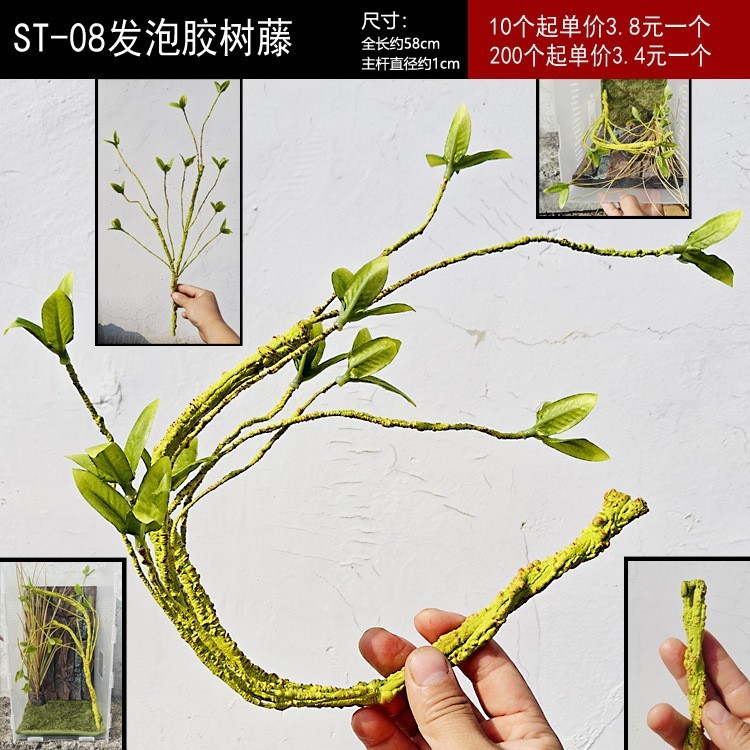 Hộp Bò Sát Cây Nho Nhánh Thằn Lằn Leo Cảnh Quan Xanh Iguana Tiếp Liệu Leo Núi Đồ Cho Thú Cưng Cây Gi