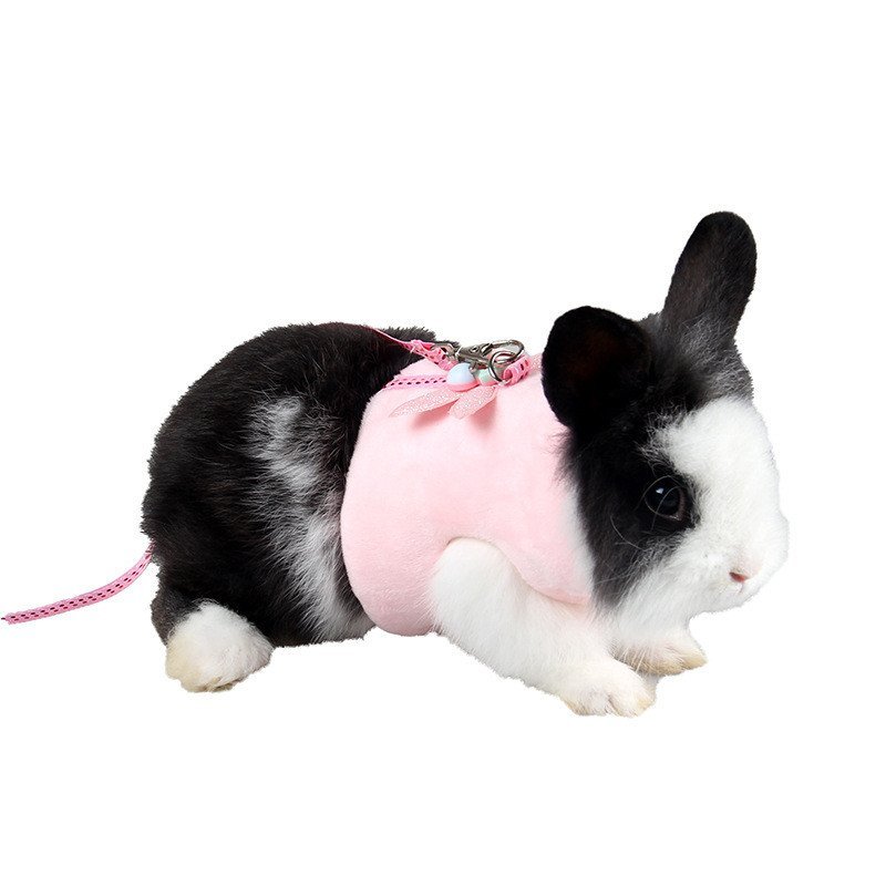 Jizai Chồn Nhím Quần Áo Chinchilla Xuân Hè Quần Áo Thú Cưng Nhỏ Dây Đeo Ngực Chuột Lang Đi Chơi Dây 