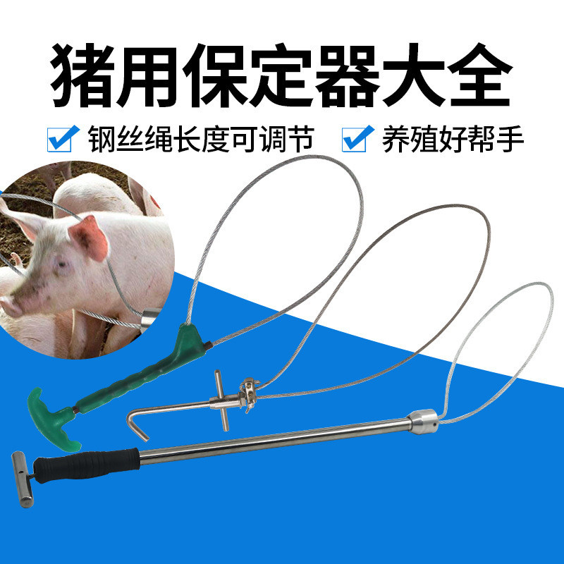 Lợn Thép Không Gỉ Lợn Bao Bảo Vệ Lợn Dây Thép Bao Kim Loại Lợn Dây Bao Nhựa Lợn Lợn Lợn Bao Lợn Lợn 
