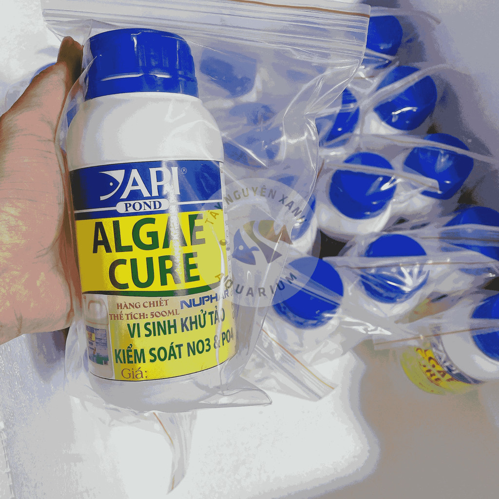 Vi Sinh API Algae Cure xử lý rêu hại, giúp nước trong xanh cho bể cá thủy sinh - Nhập khẩu Mỹ