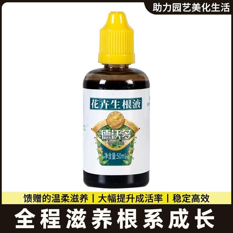 Succulent Root King Fast Root Tăng cường chất tạo giống Cây mọng nước Phân bón nước nuôi hoa chuyên 
