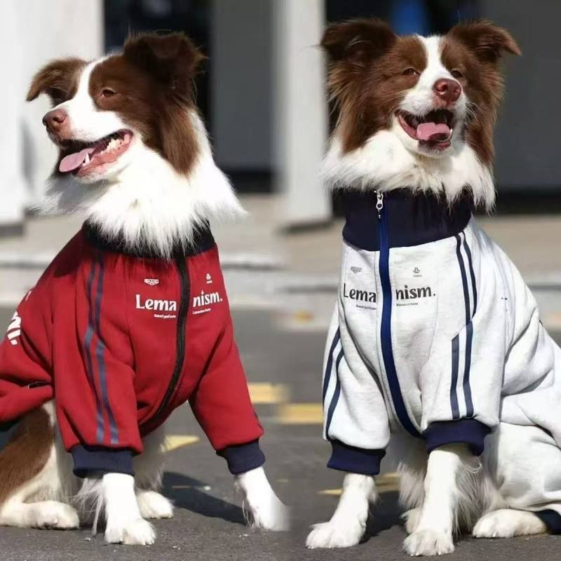 【Ready Stock】 Golden Retriever/Border Collie Labrador Fleece-Lined Warm Coat Trendy Autumn and Winte