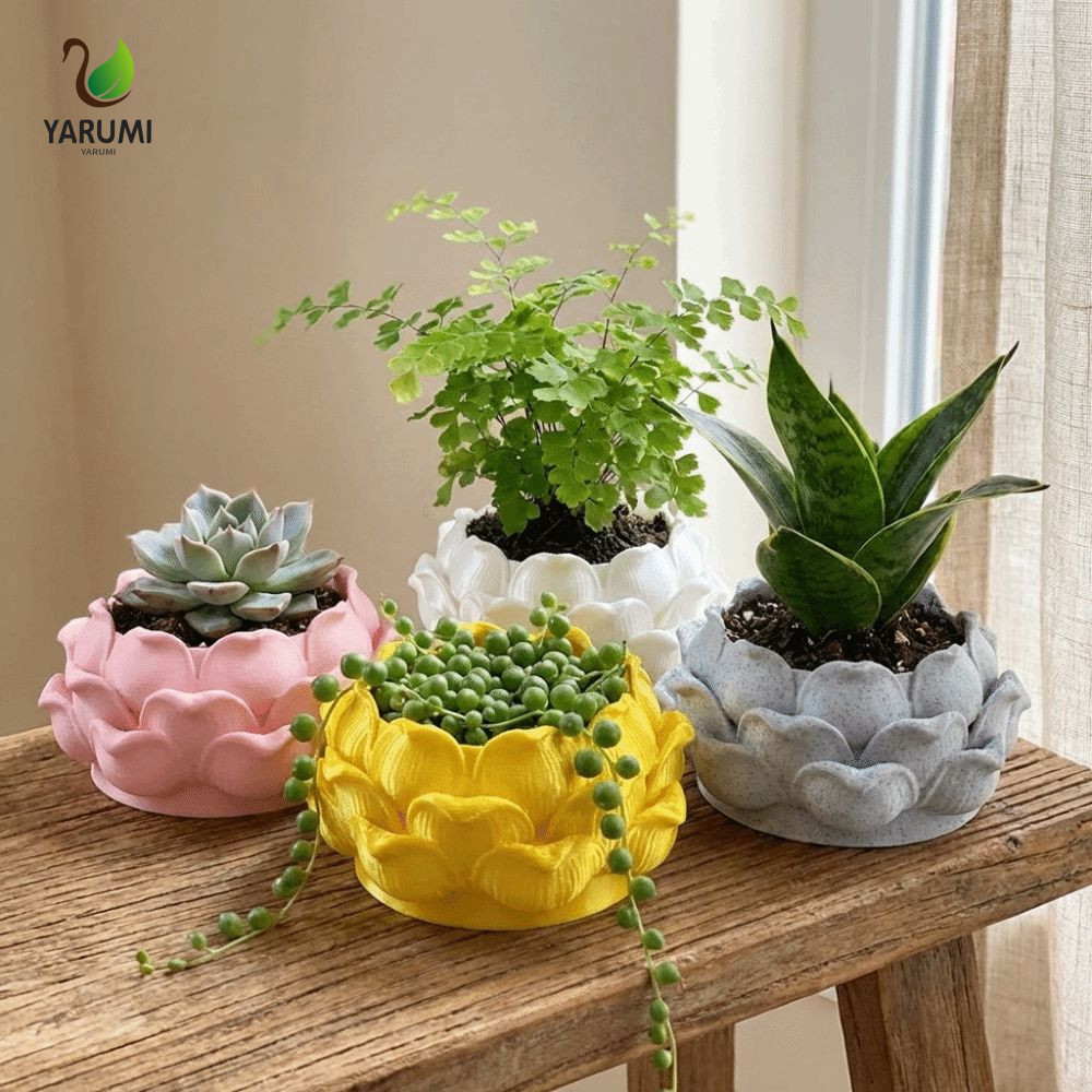 Chậu trồng ALISON, Bình hoa Chậu cây mọng nước hình sen, Sáng tạo với lỗ thoát nước Hộp đựng hoa in 