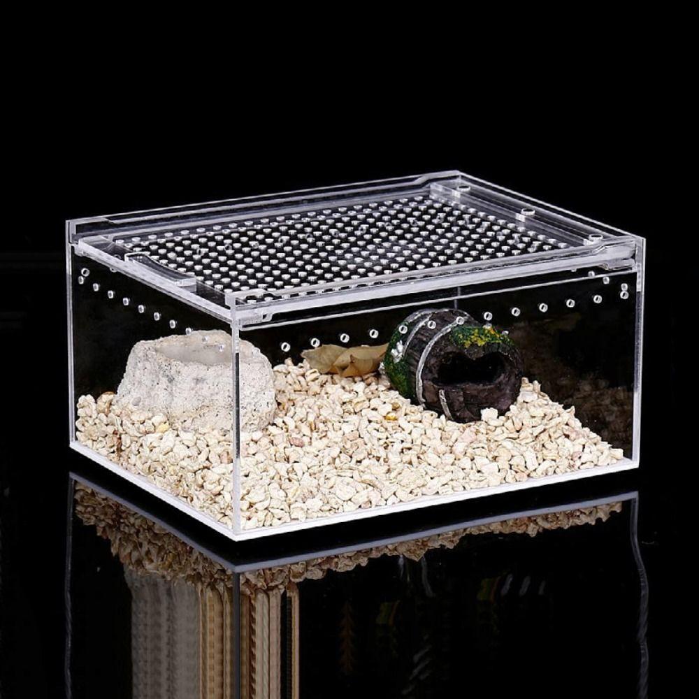 PETPARADISE Lizard Terrarium Habitat, Hộp nhân giống bò sát thoát hiểm thoáng khí, trong suốt có lỗ 
