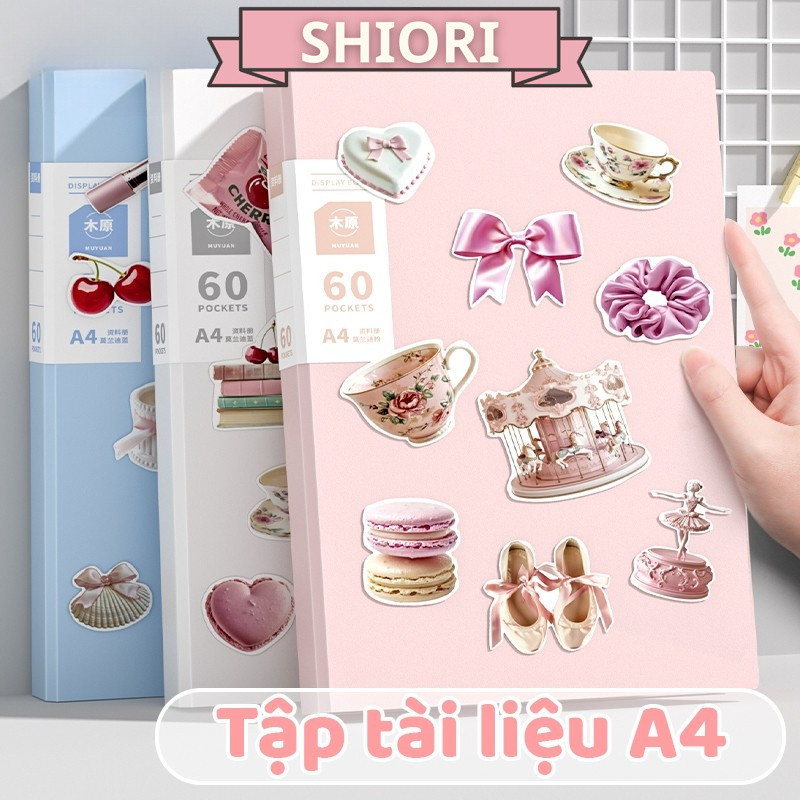 File Nhựa PP A4 Nhiều Ngăn - 30/40/60 Tờ - Lưu Trữ Tài Liệu Gọn Gàng - Chất Liệu Cứng Cáp