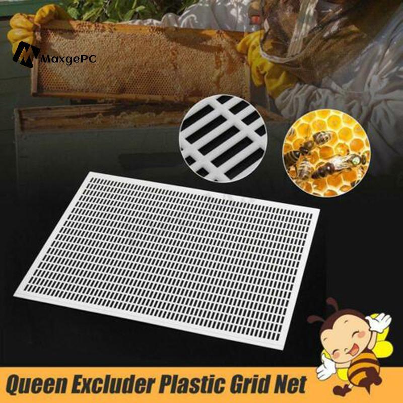 [Max-t] Dụng cụ nuôi ong Bee Queen Excluder Trapping Grid Net Tool Kits mới