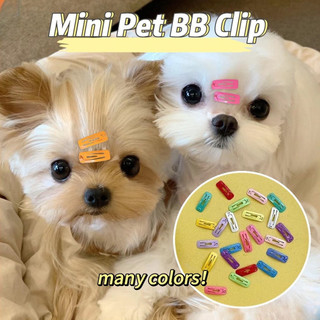 2cm Mini Thú Cưng BB Kẹp Nhiều Màu Sắc Nhỏ Vuông Kẹp Tóc Candi Màu Trái Cây Teddy Yorkshire Chó Mèo Trang Sức Chó Con Thẻ Tóc