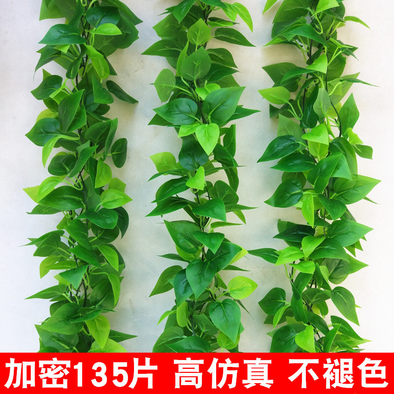 Mô Phỏng Keo Nhựa Lá Mây Xanh Lá Lá Cây Nhựa Trang Trí Cây Nho Lá Xanh Cây Nho Cây Xanh Cây Nho Hoa 