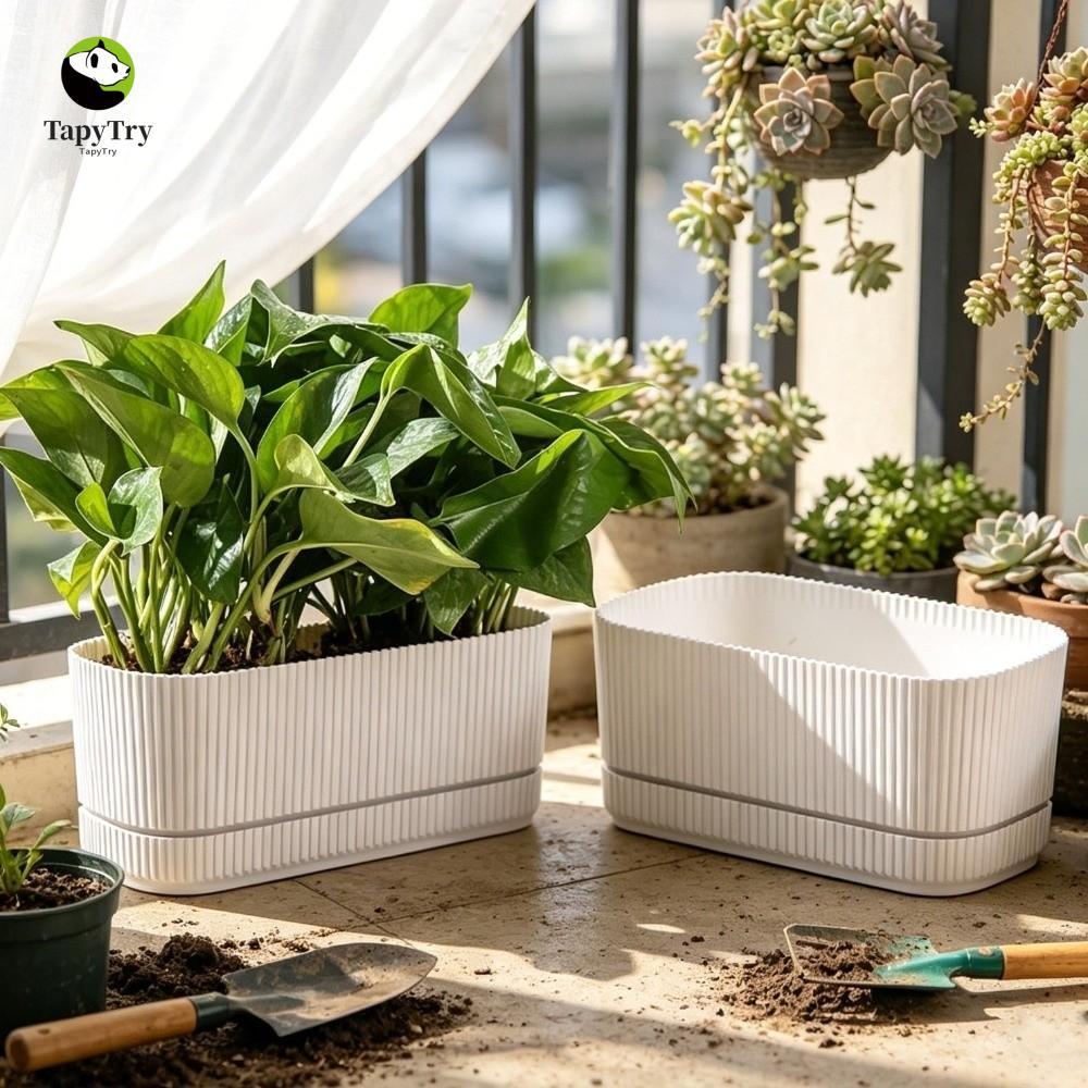 Chậu hoa tự tưới nước ALISON, Bình đựng nước thủy canh hai lớp để bàn, Nhựa đa chức năng Hộp đựng ra