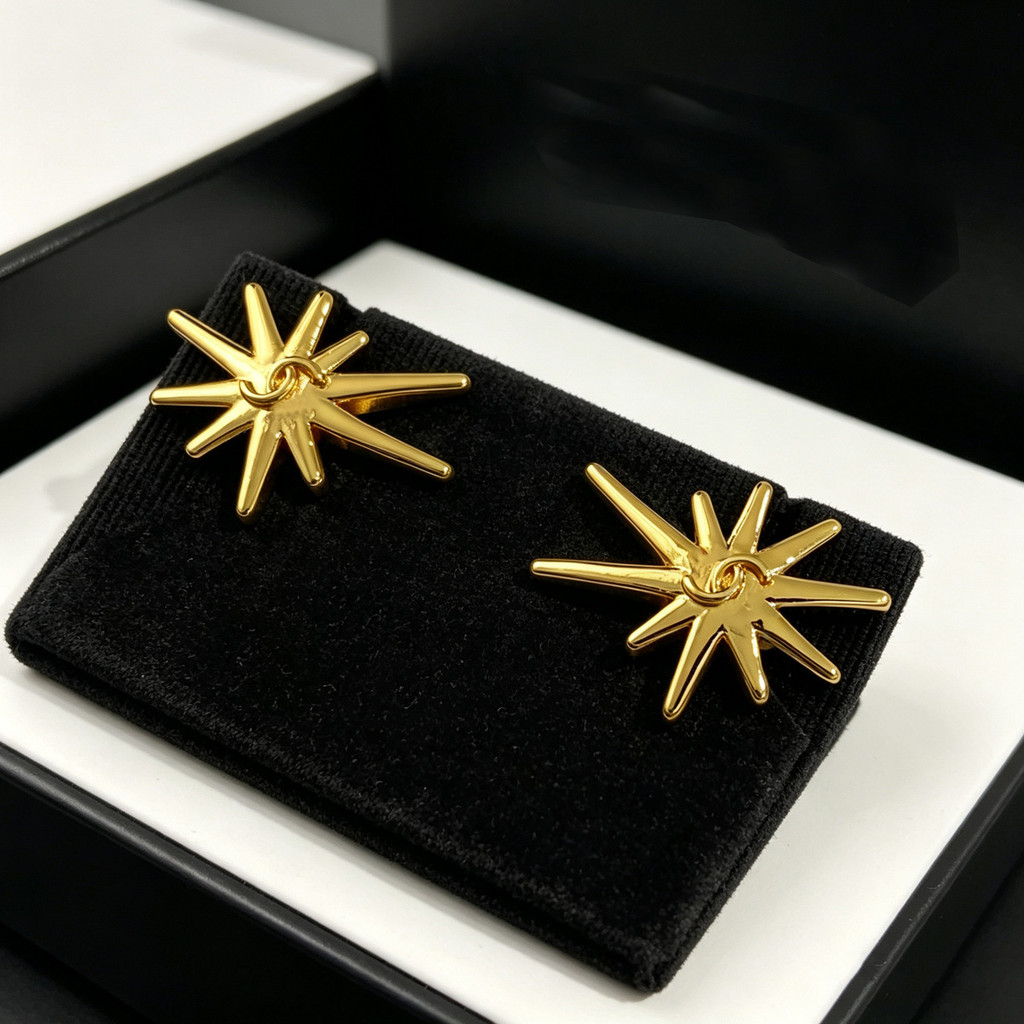Eight-pointed star earrings, high-end earrings for women