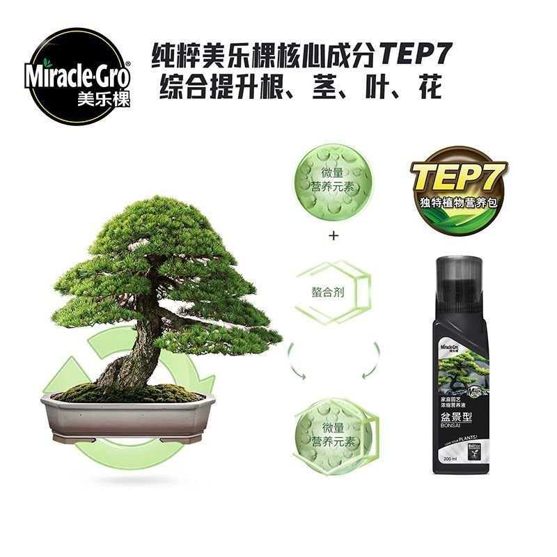 [Merlot Tree] Cây cảnh Dung dịch dinh dưỡng chuyên dụng Arhat Pine Cypress Elm Lá nhỏ Đỏ Nan Gỗ đàn 