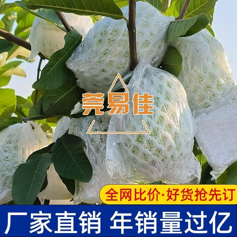 番石榴套袋芭乐网套红心番石榴专用防虫网套袋水果一体泡沫网批发Guava insect proof sleeve bag, special all-in-one foam mesh sleeve bag