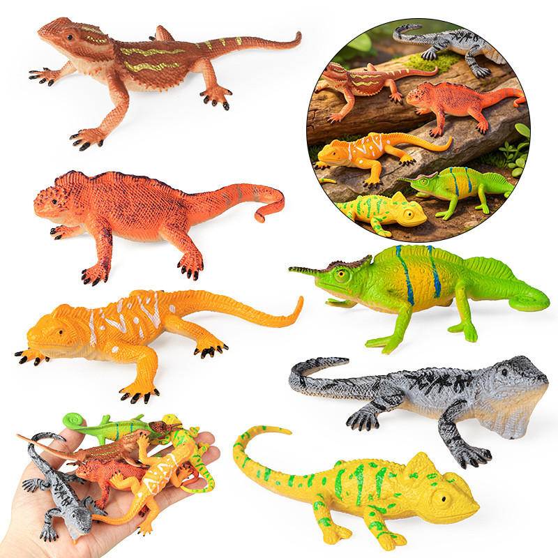 Bộ mô hình mô phỏng bò sát hoang dã Iguana Chameleon Râu rồng Đồ chơi trang trí nhận thức cho trẻ em