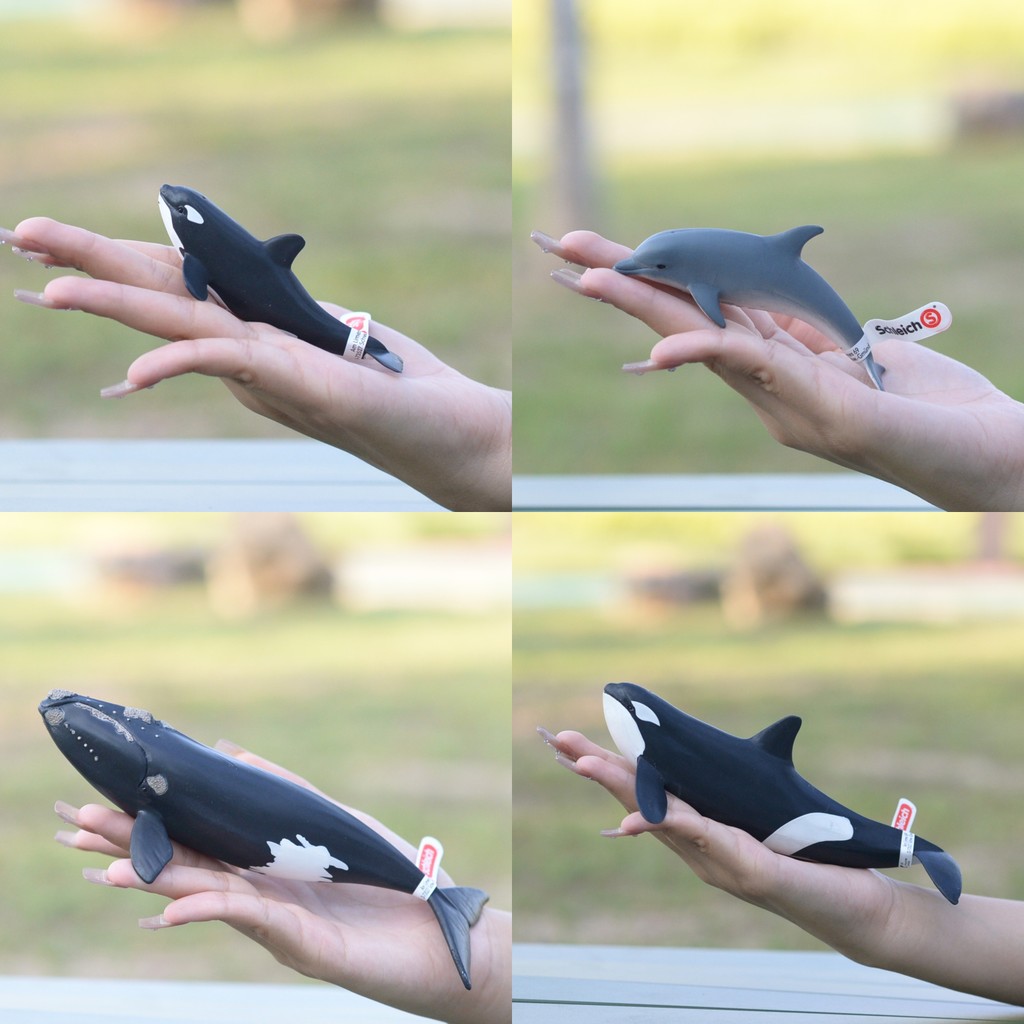 Chính hãng Đức Schleich Schleich Ocean Series Little Dolphin Big Small Killer Whale Killer Whale Bel
