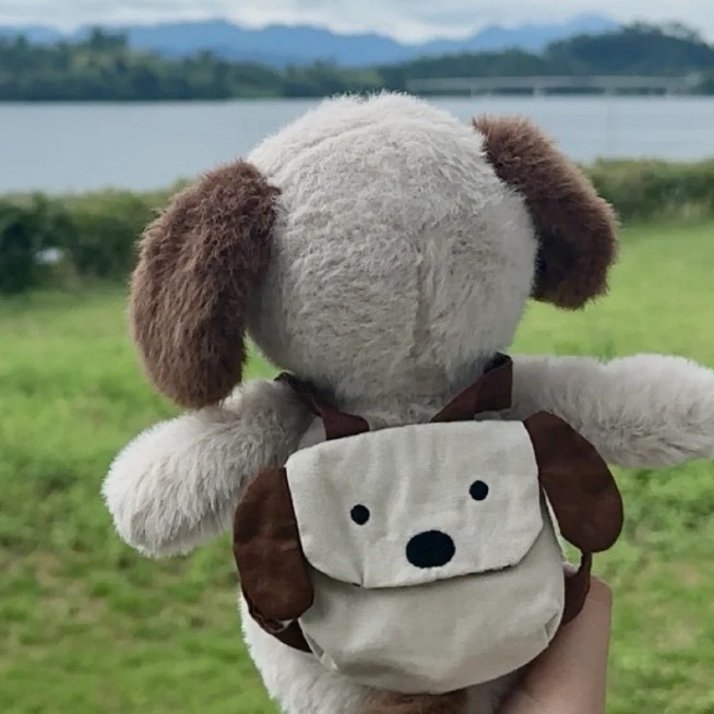 Backpack series: panda backpack, bunny backpack, dinosaur cute plush toy, soothing panda doll gift