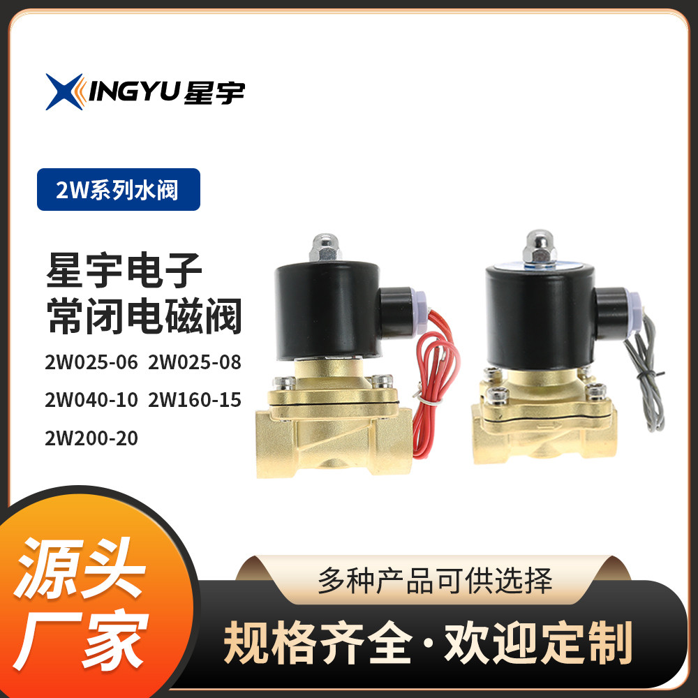 2W025-08 2W040-10 2W160-15 2W-20 Thông gió nước Khử nhiễm Van điện từ hai vị trí