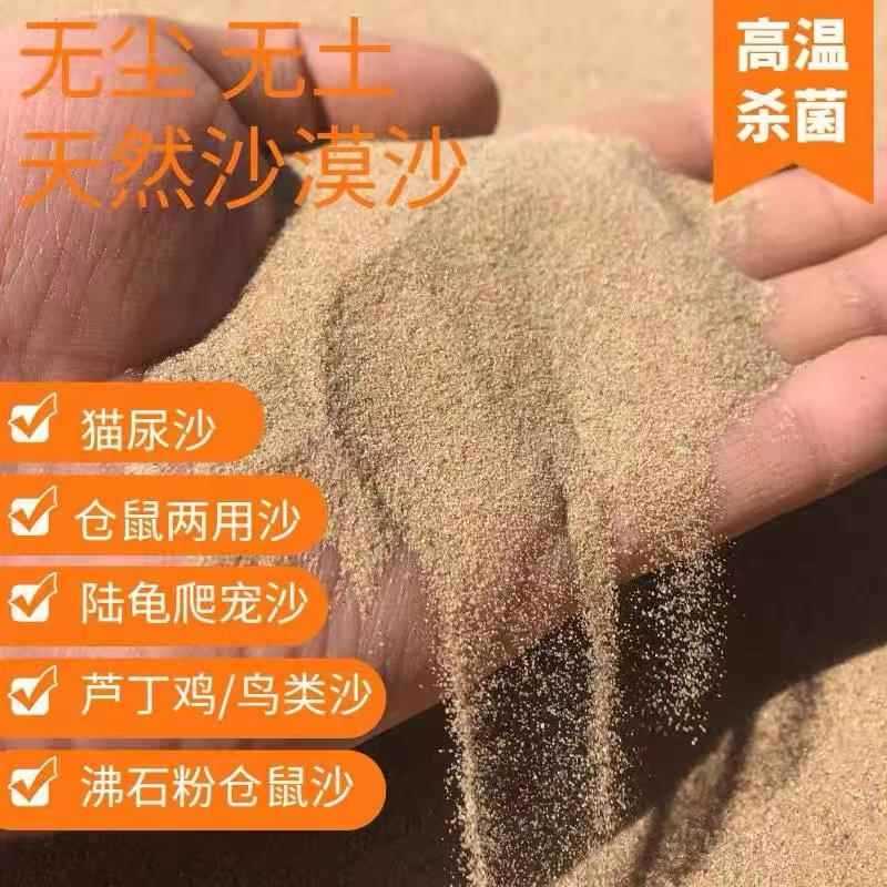 Leo Núi Thú Cưng Sa Mạc Tự Nhiên Cát Leo Núi Thú Cưng Cảnh Quan Mô Phỏng Sa Mạc Tự Nhiên Cát Sa Mạc 