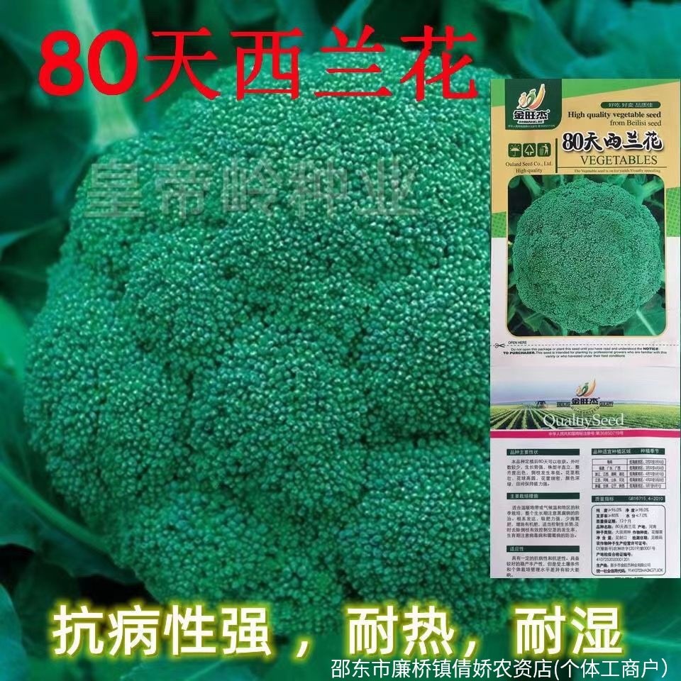 Hạt cải xanh Xuân Thu Hoa Cauliflower Rau củ Hạt giống rau củ chống lạnh Rau xanh Hoa Bốn mùa Bông c